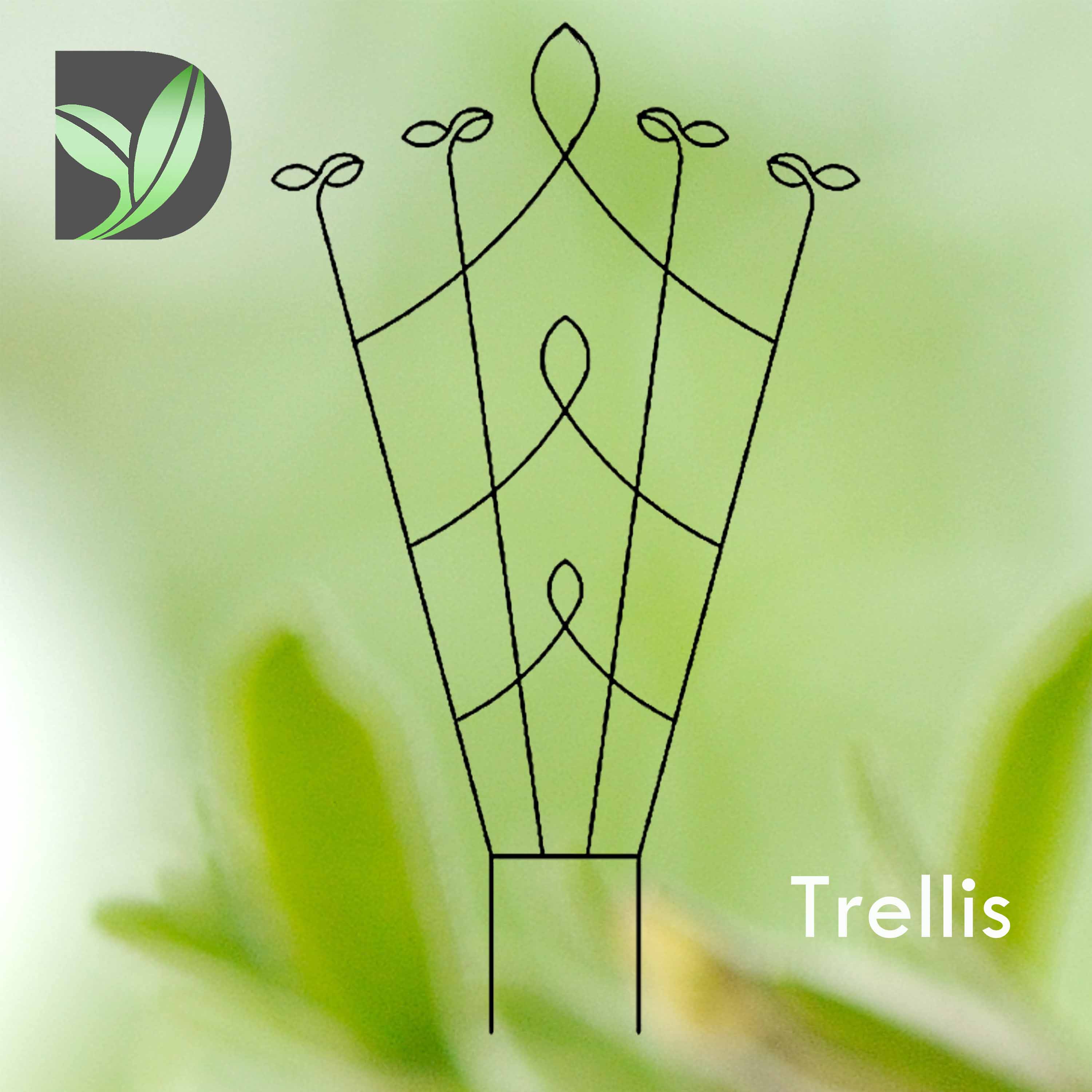 Trellis Support-Burgeen