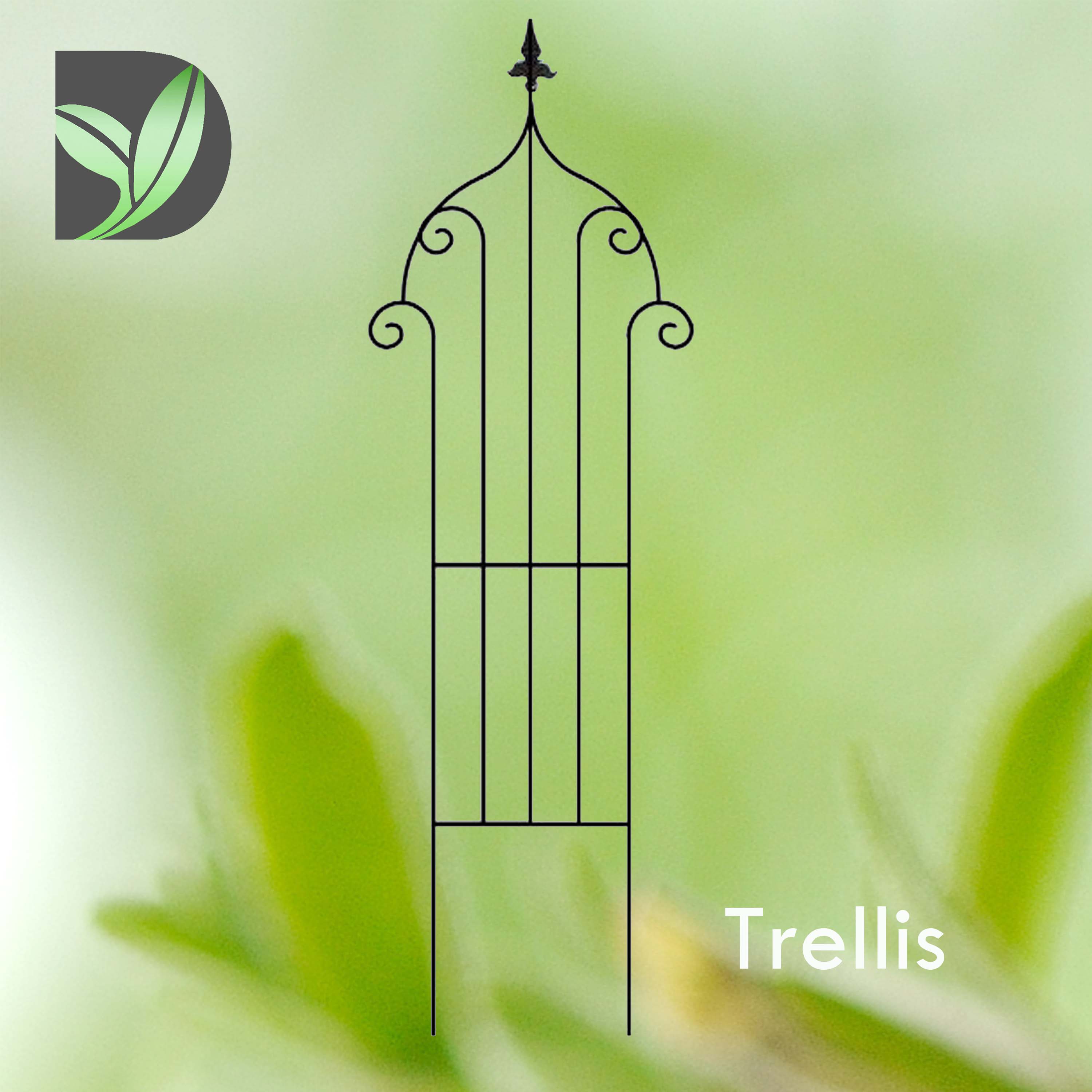 Trellis Support-Orlean A
