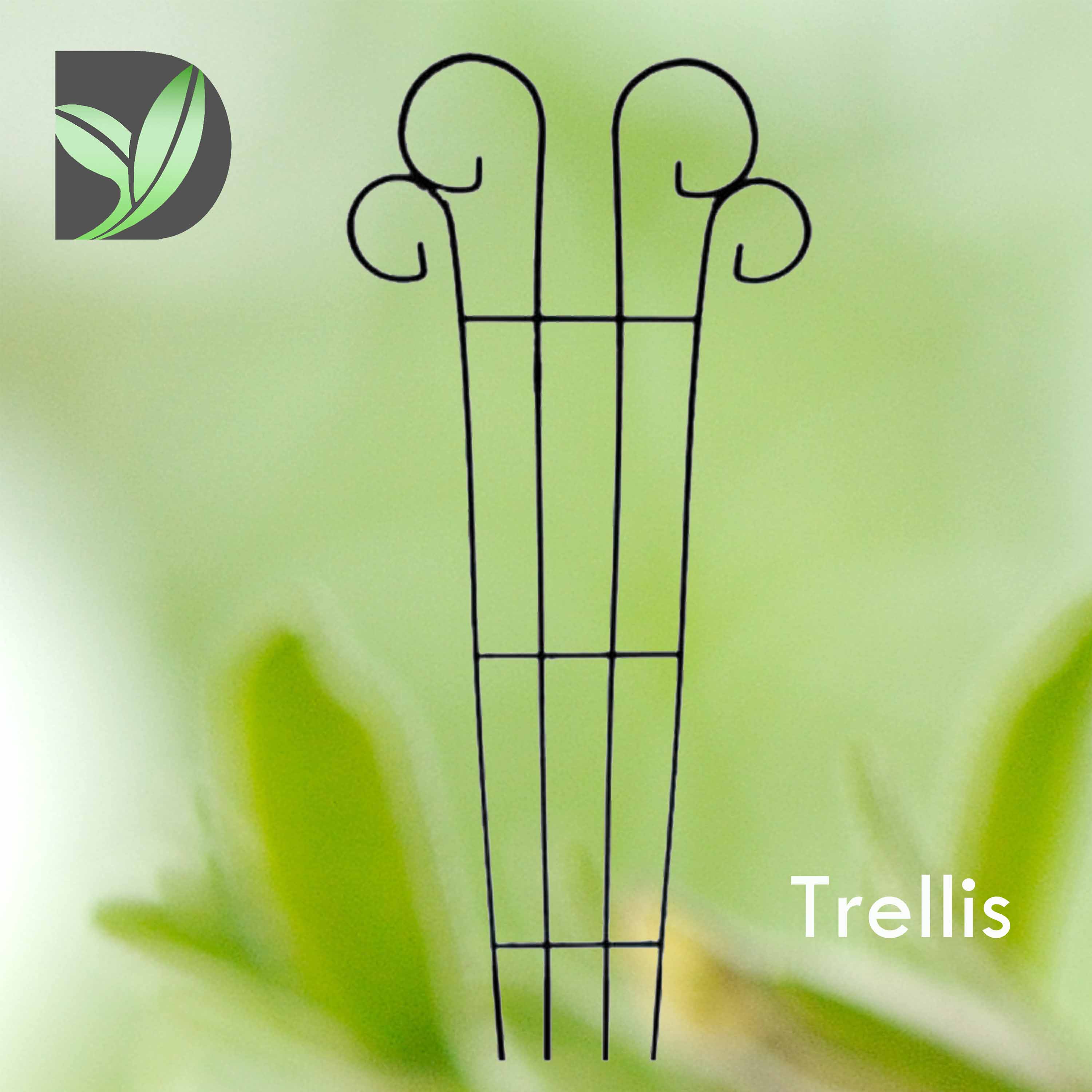 Trellis Support-Scroll