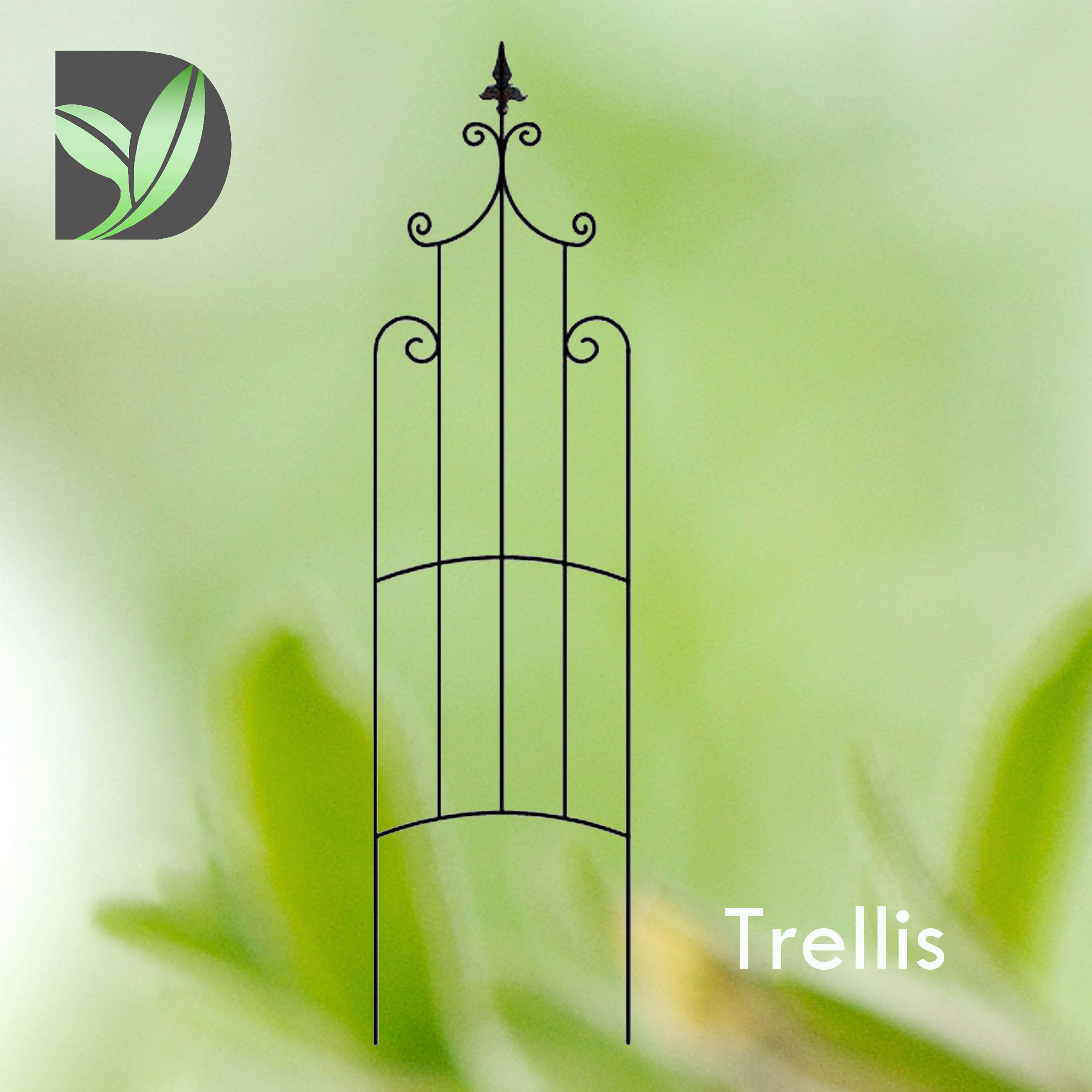 Trellis Support-Orlean B