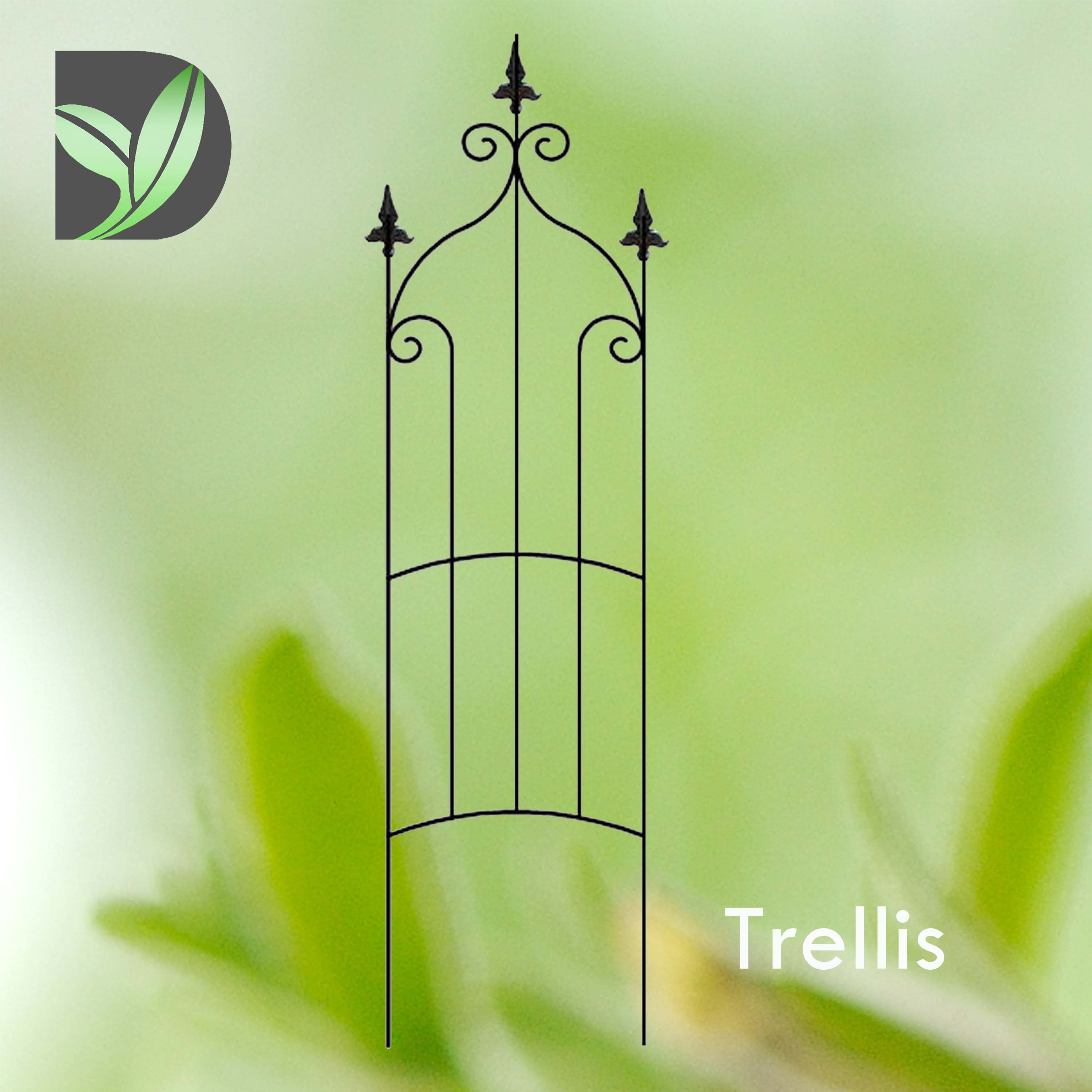 Trellis Support-Orlean D