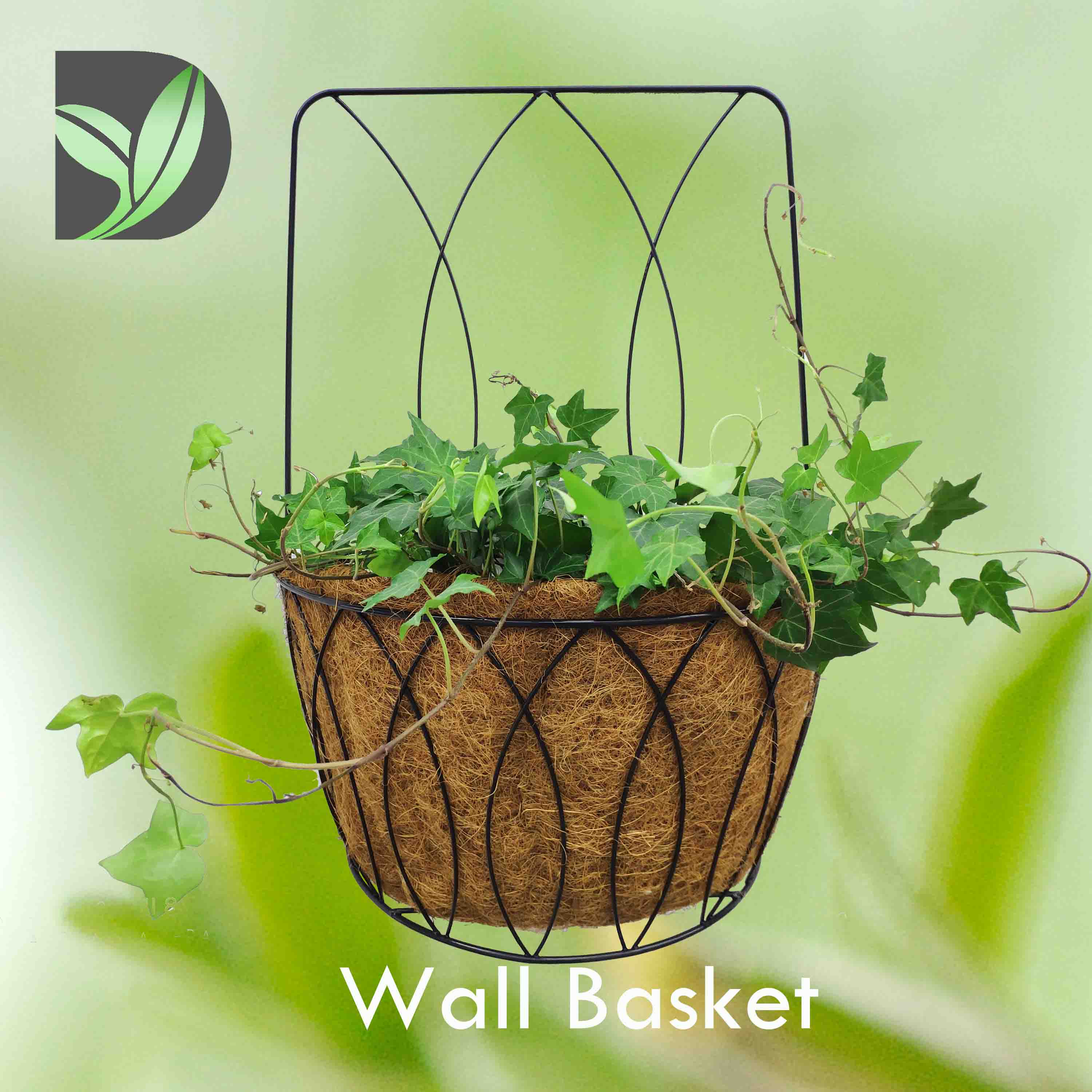 Wall Basket-Lotus