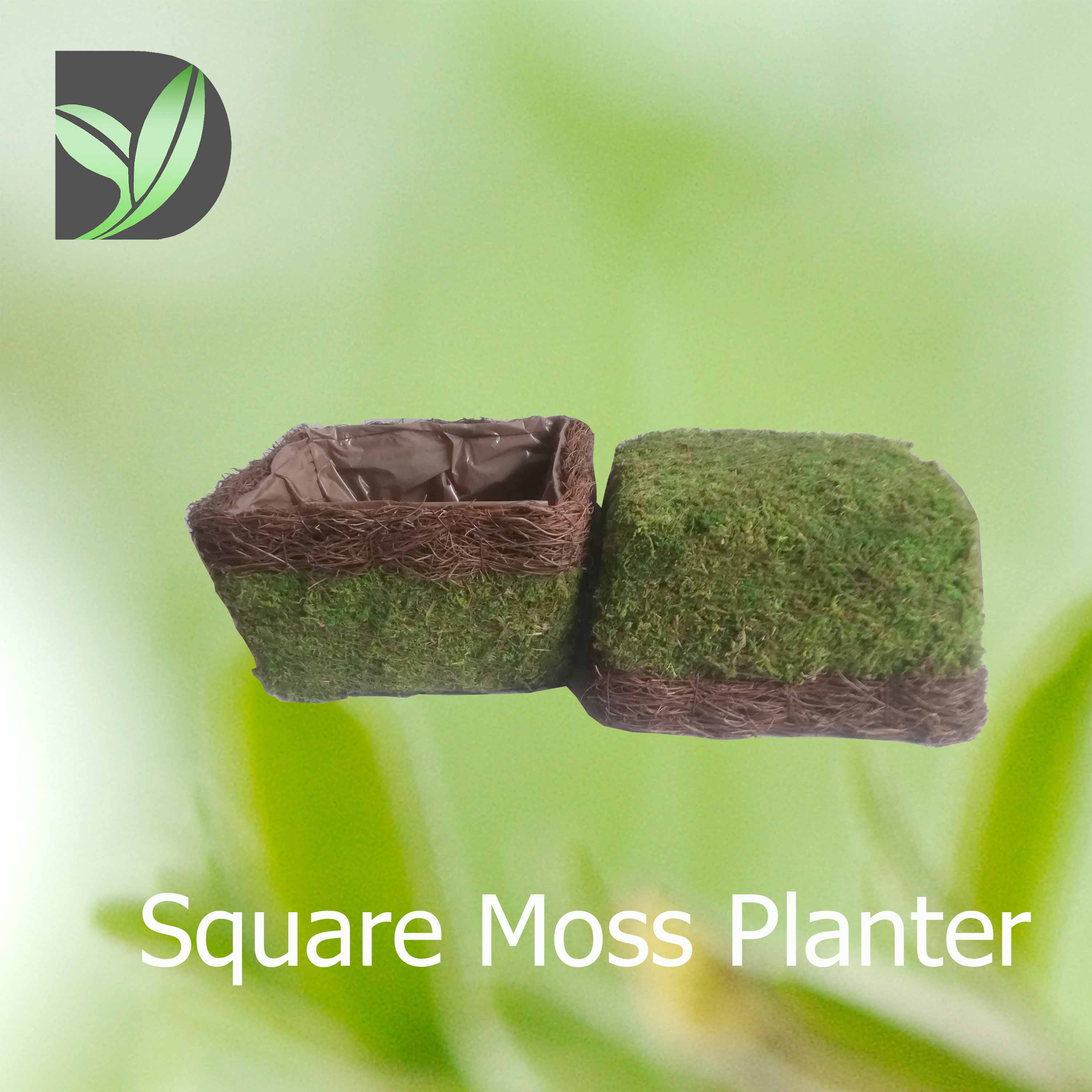 Square Moss Planter