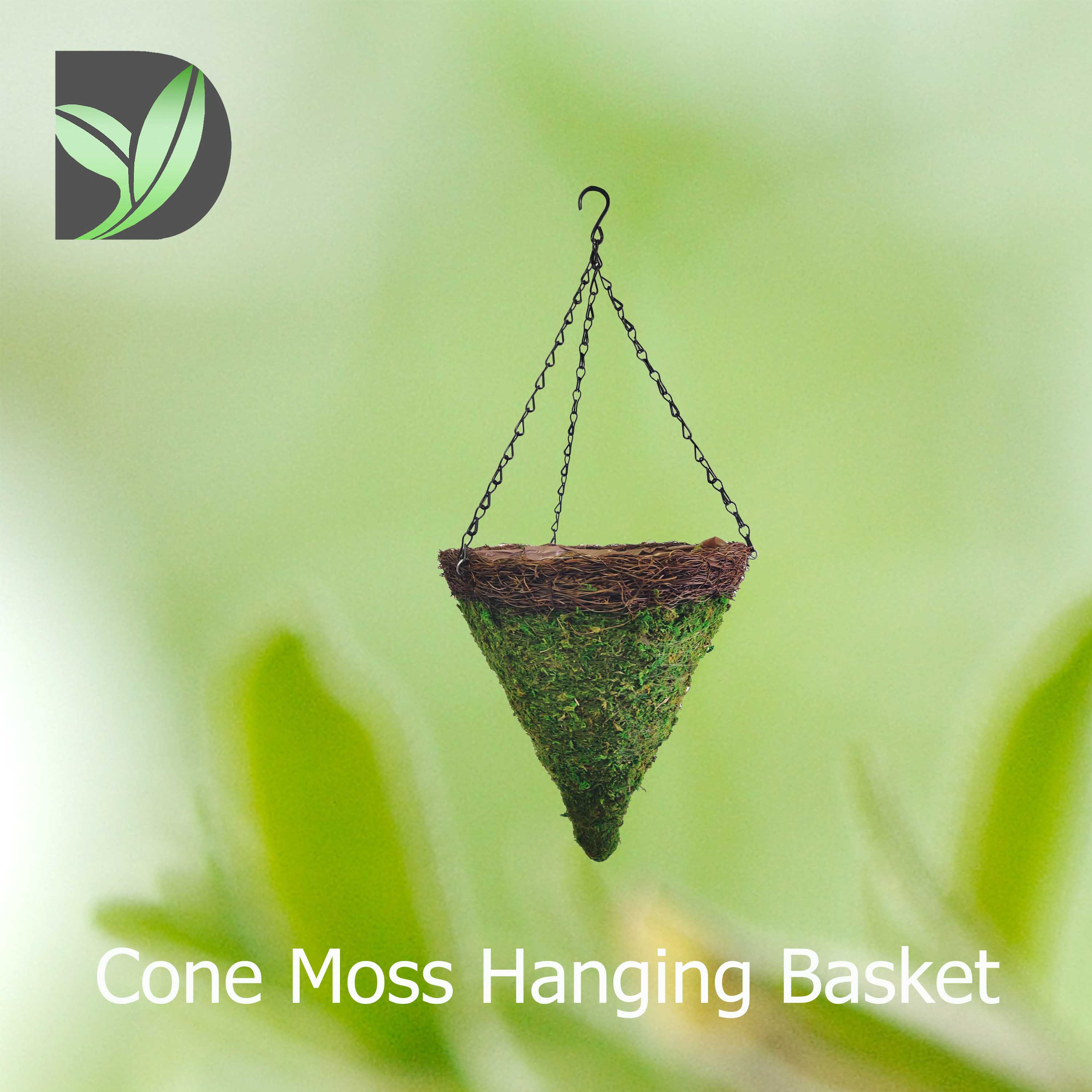 Cone Moss Hanging Basket