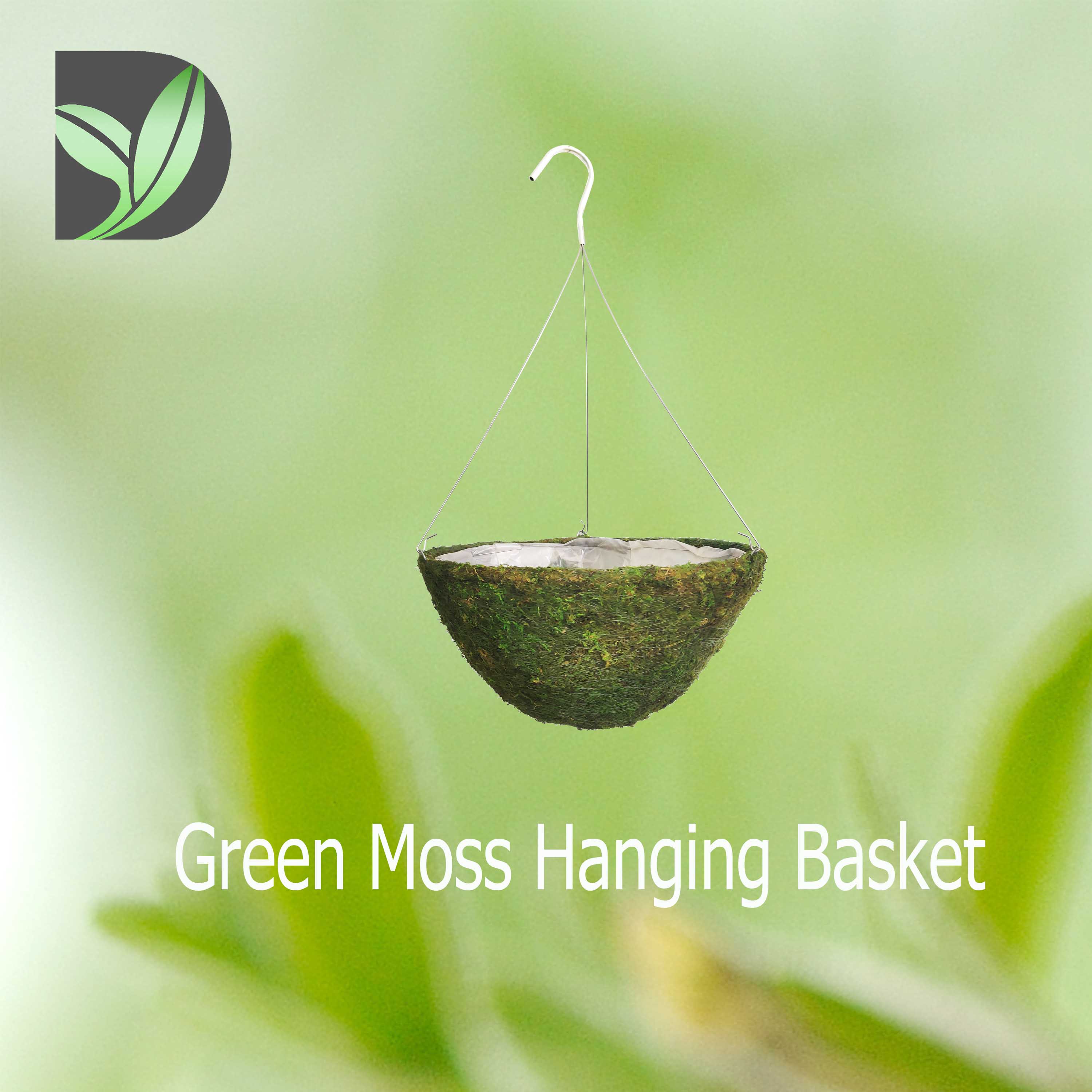 Green Moss Hanging Basket