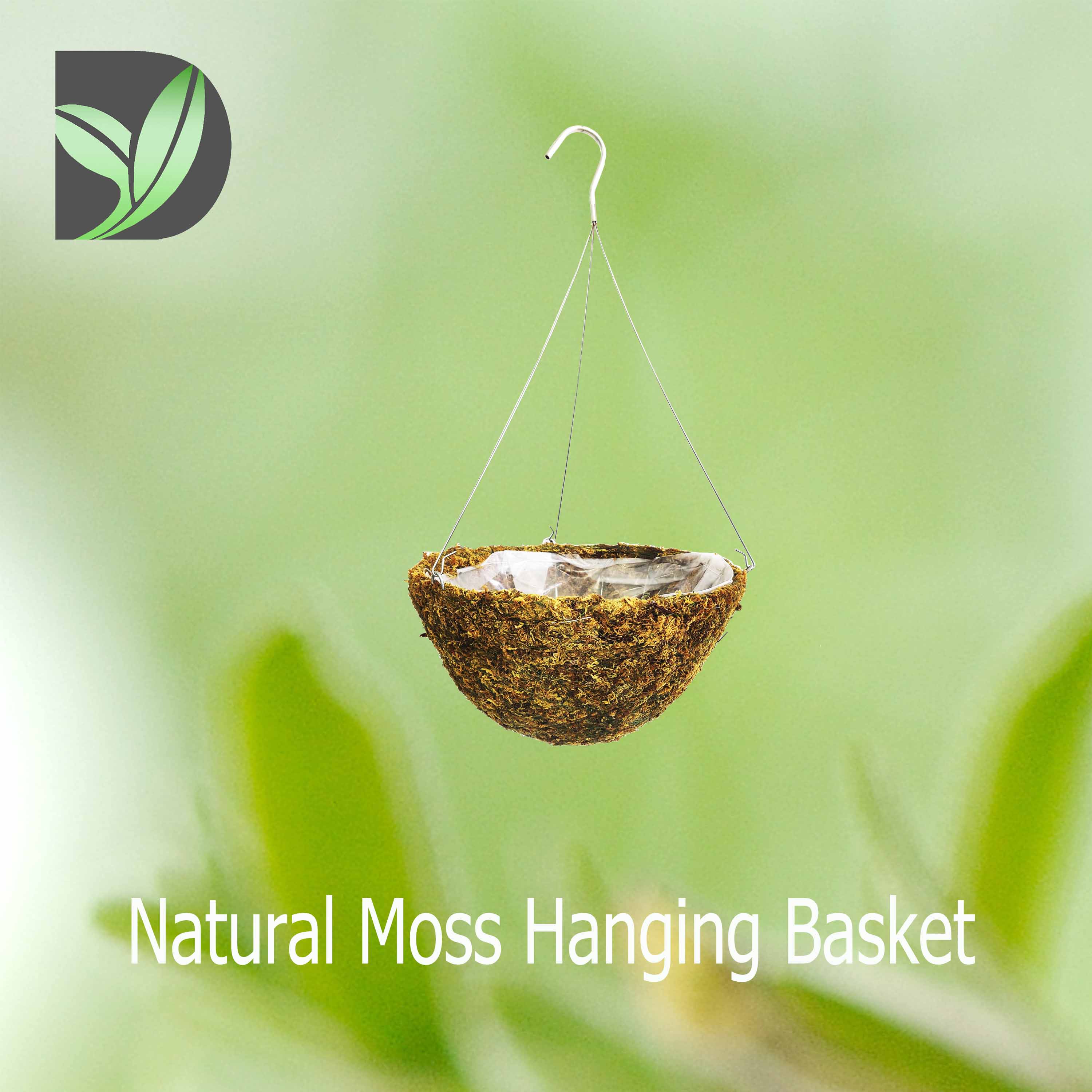Natural Moss Hanging Basket